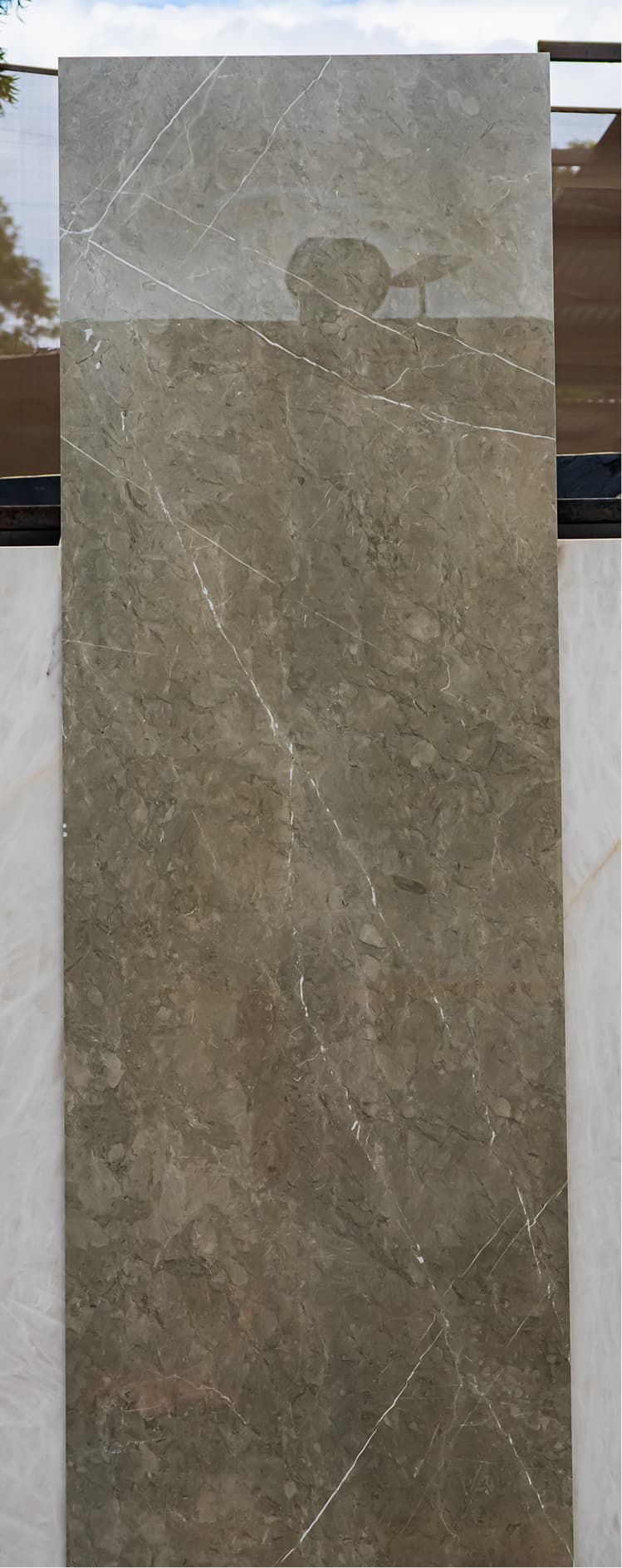 Acron Grey Glossy