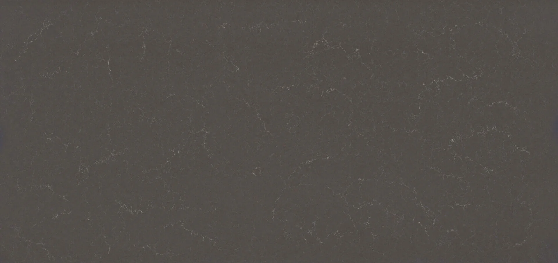 5003 Piatra Grey